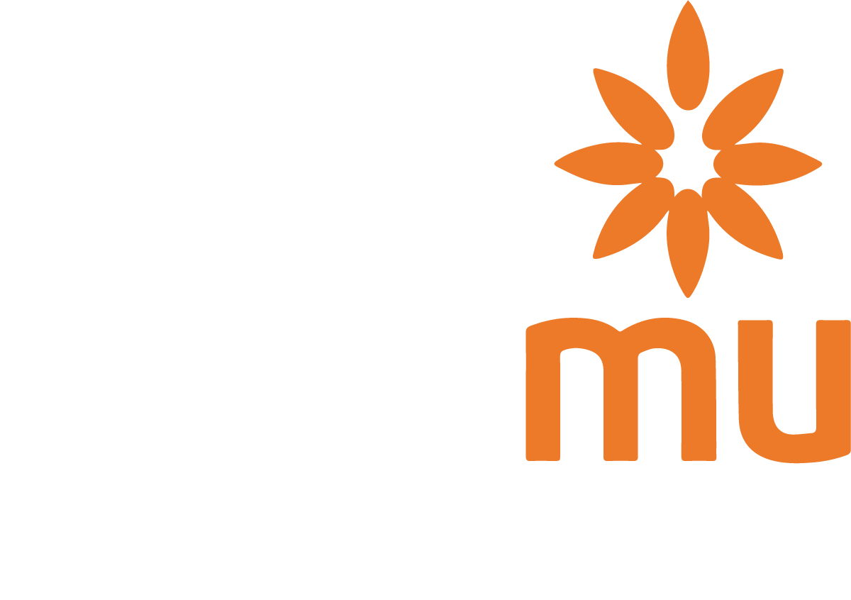 Logo Lazismu